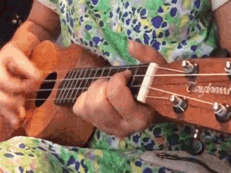 Ukulele Songs GIFs .